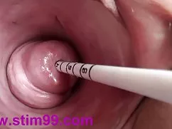 业余打击工作极端的肛门插入击这里的热猫